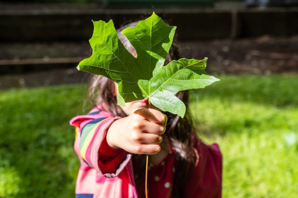 girl with a leaf representing environment responsibility