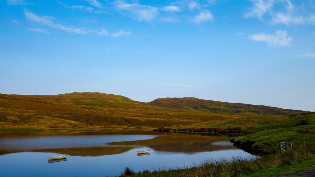 landscape of reclaimed land